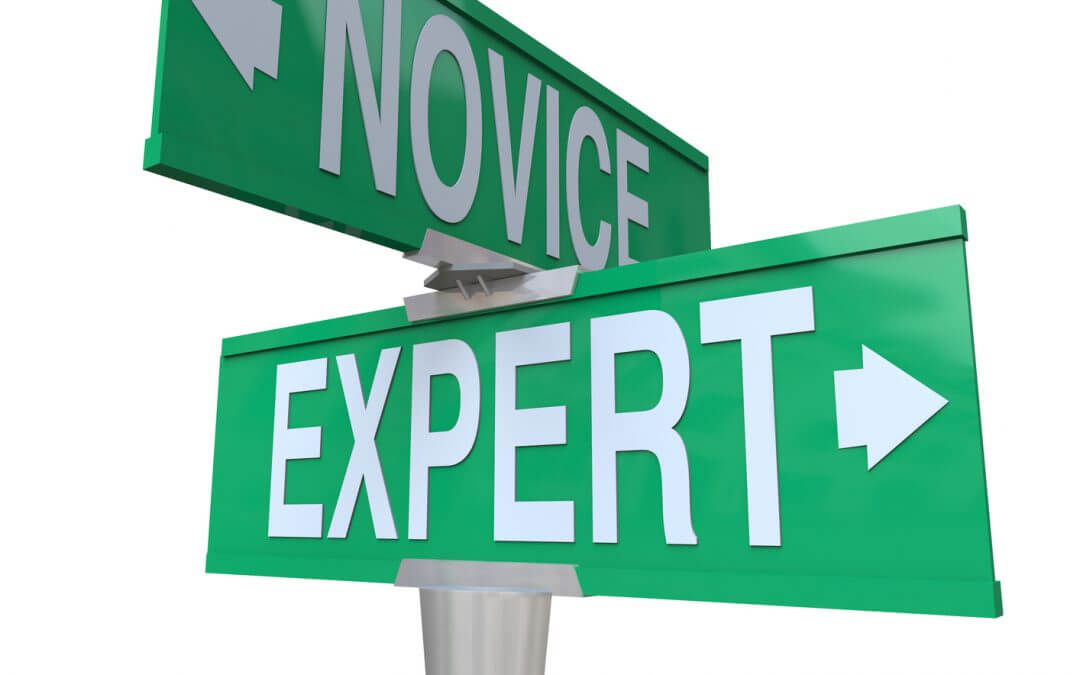 Expert vx novice -- become an expert in your field