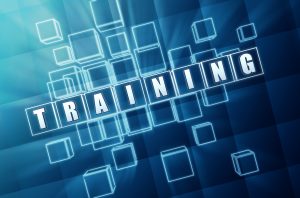 Training Styles